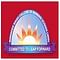 Birender Singh College of Nursing logo